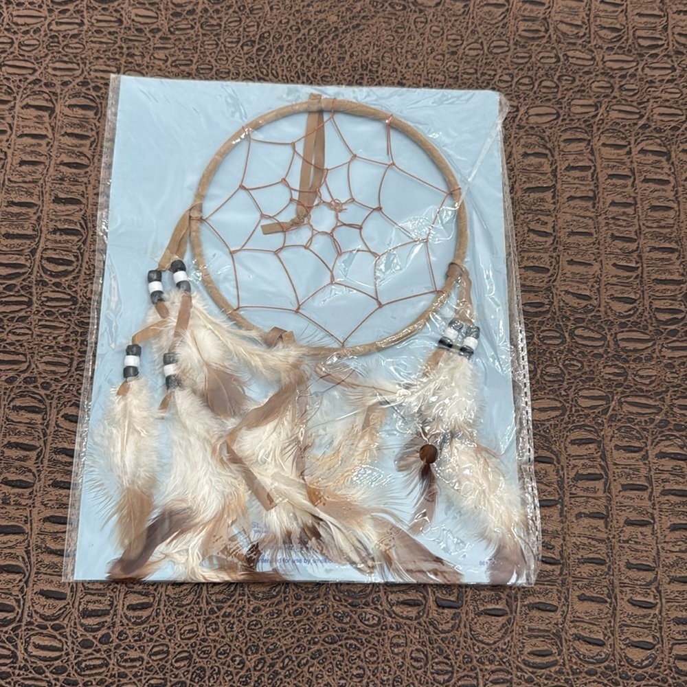 Legend of the Dreamcatcher Wall Art w/ Story Card – Lakota Sioux